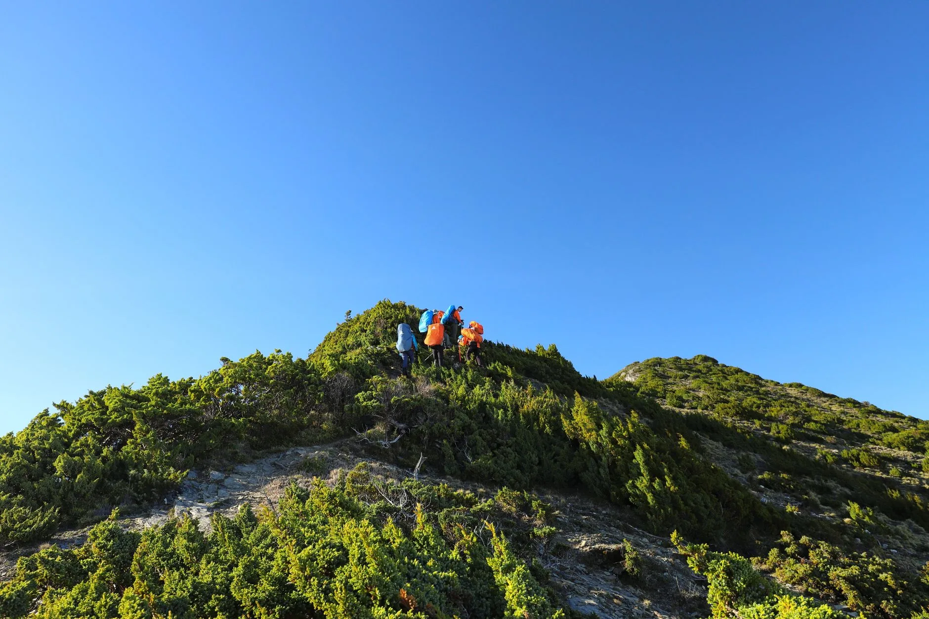 Sentier de montagne vers le sommet du Yushan à Taïwan au lever du soleil