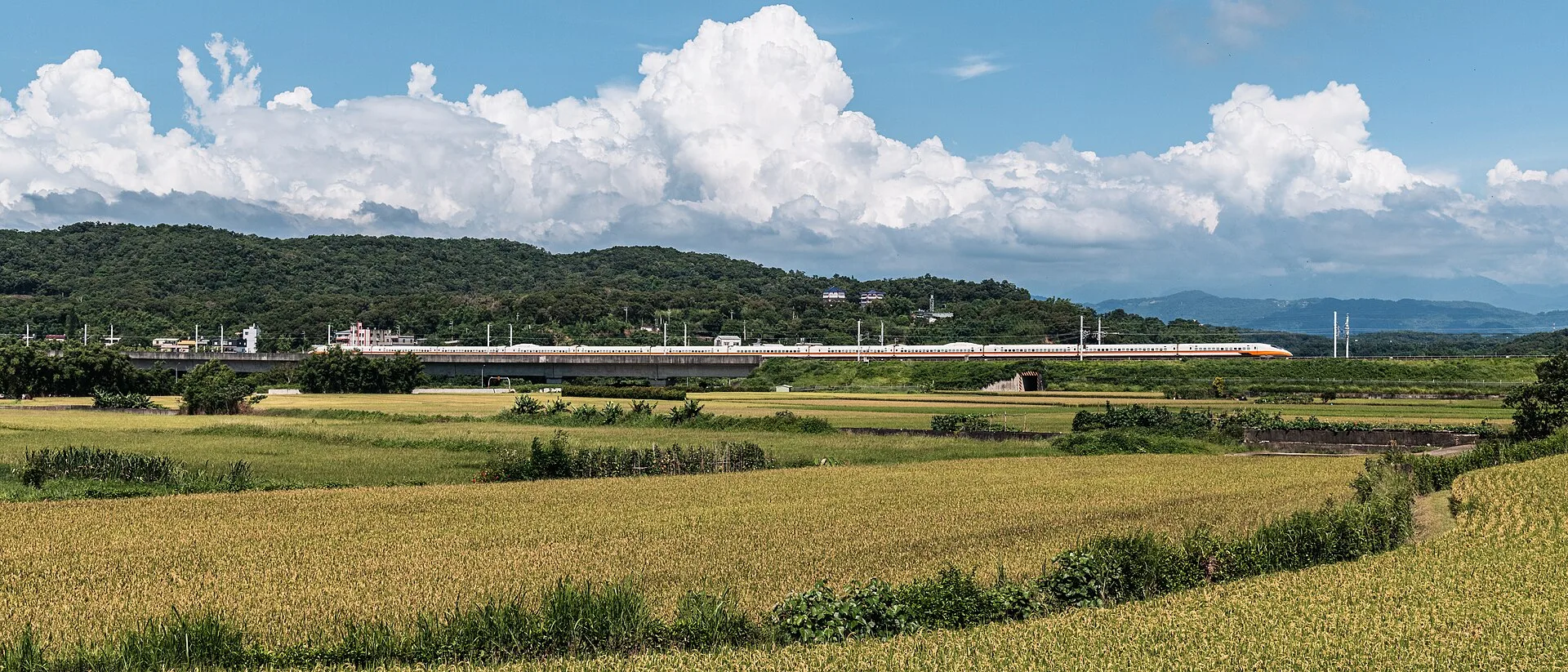 Train à grande vitesse HSR traversant la plaine de l'ouest de Taïwan
